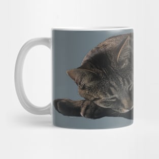 Comfy Kitty Mug